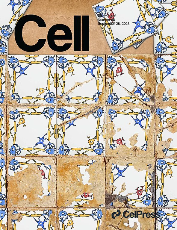 Cover of the September 2023 issue of Cell