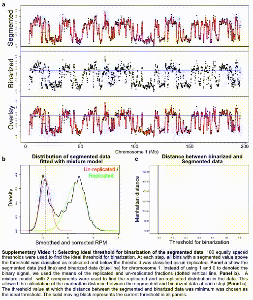 Single-cell Repli-seq copy-number analysis workflow
